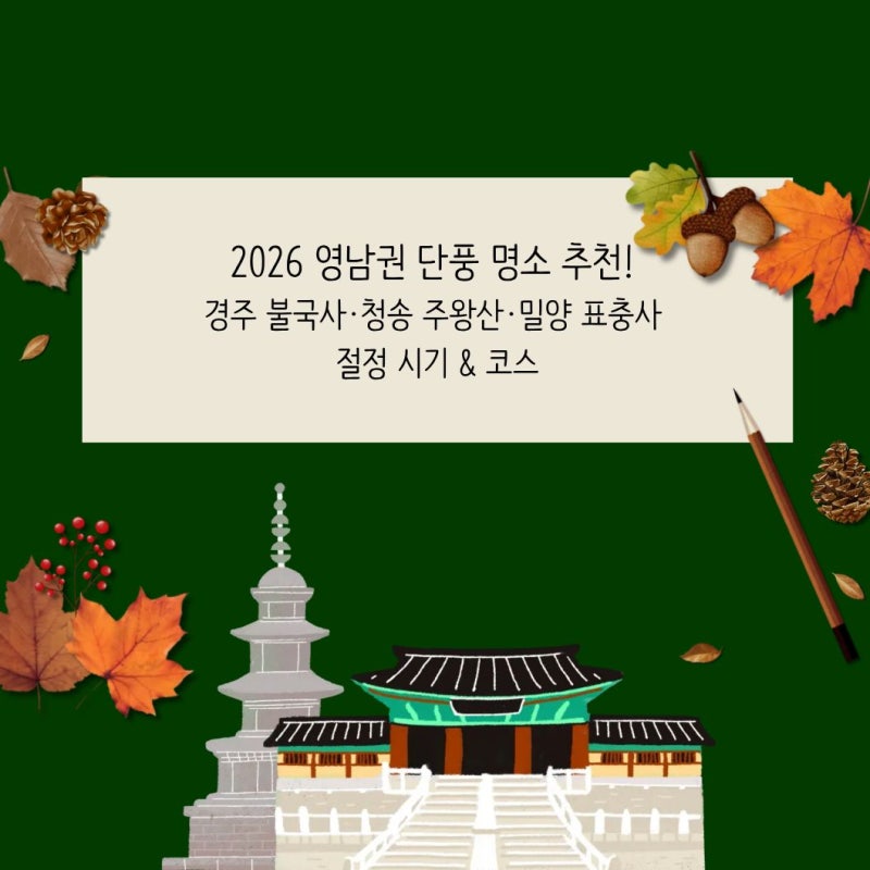 2026 영남권 단풍 명소 추천! 경주 불국사·청송 주왕산·밀양 표충사 절정 시기 & 코스