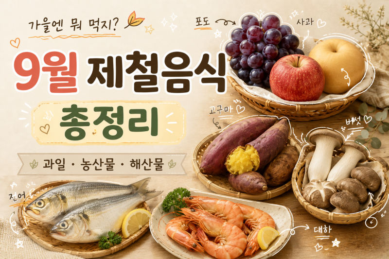“가을엔 뭐 먹지?” 9월 제철음식 총정리｜과일·채소·해산물 한눈에