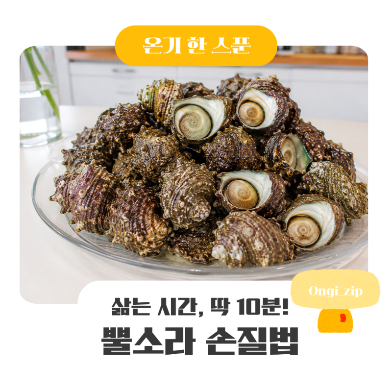뿔소라 손질법부터 삶는법까지, 몇 분 삶아야 할까?