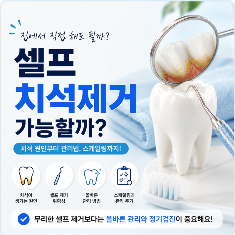 셀프치석제거 집에서 가능할까 치석 긁기 전 꼭 알아야 할 방법과 주의사항