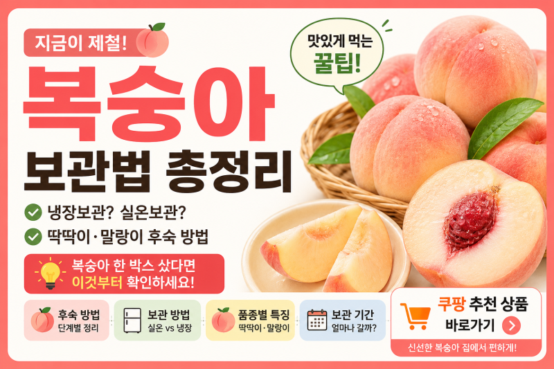복숭아 냉장고에 바로 넣으면 안 될까? 딱딱이·말랑이 보관법 총정리