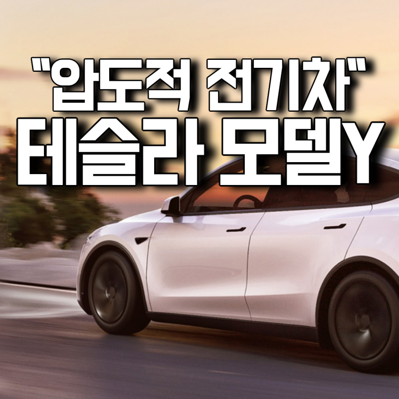 "압도적인 전기차" 테슬라 모델 Y 6인승 패밀리 SUV