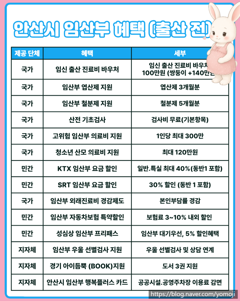 2026 안산시 임산부 혜택(출산 전)
