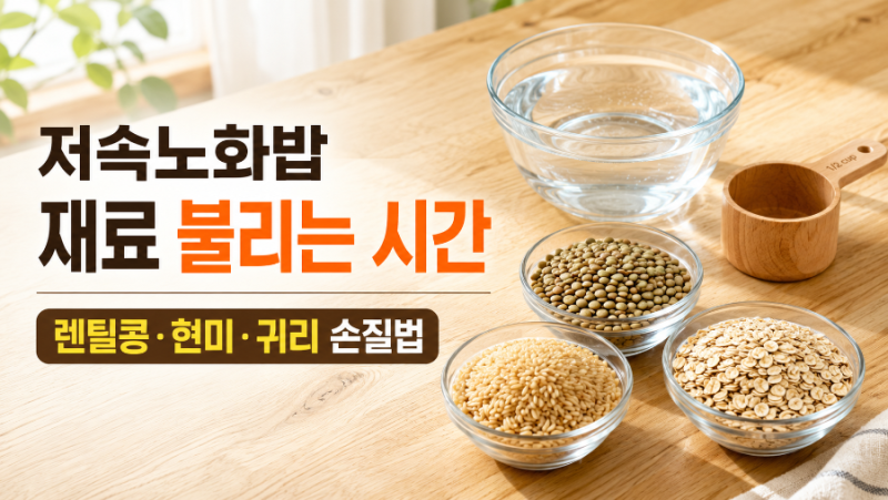 저속노화밥 재료 불리는 시간, 렌틸콩 현미 귀리 손질하는 법