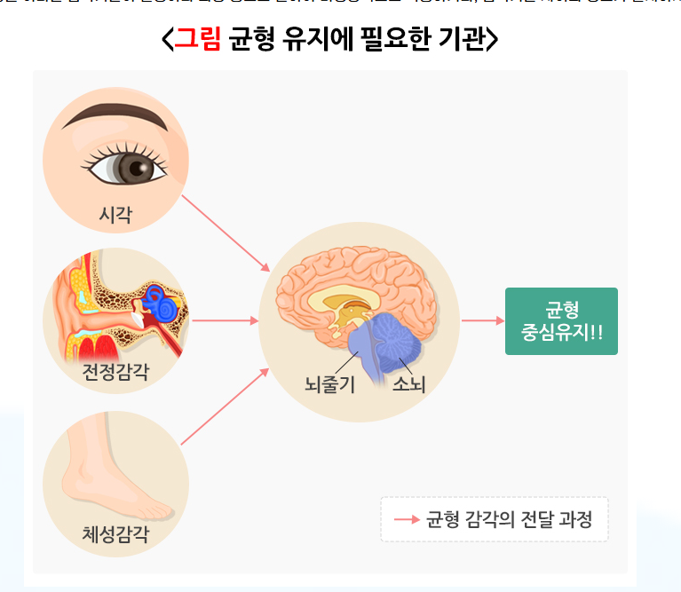 난생 처음 겪어본 이석증 치료 후기
