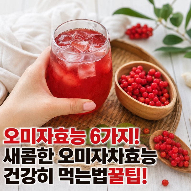 오미자효능 6가지! 새콤한 오미자차효능 건강히 먹는법꿀팁!