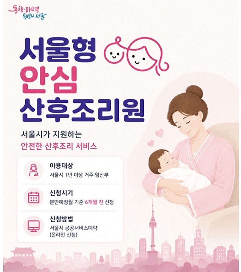 서울형 안심 산후조리원 신청 대상부터 신청 방법까지 (쌍둥이 임산부 신청 후기, 주의사항)