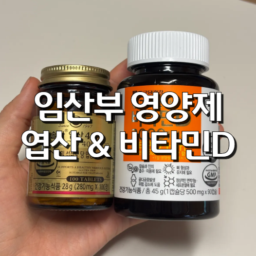 임산부 필수 영양제 내돈내산 가성비템