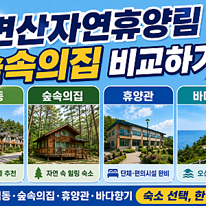 변산자연휴양림 숲속의집 비교하기! 연립동·휴양관·바다향기·숙소 한번에