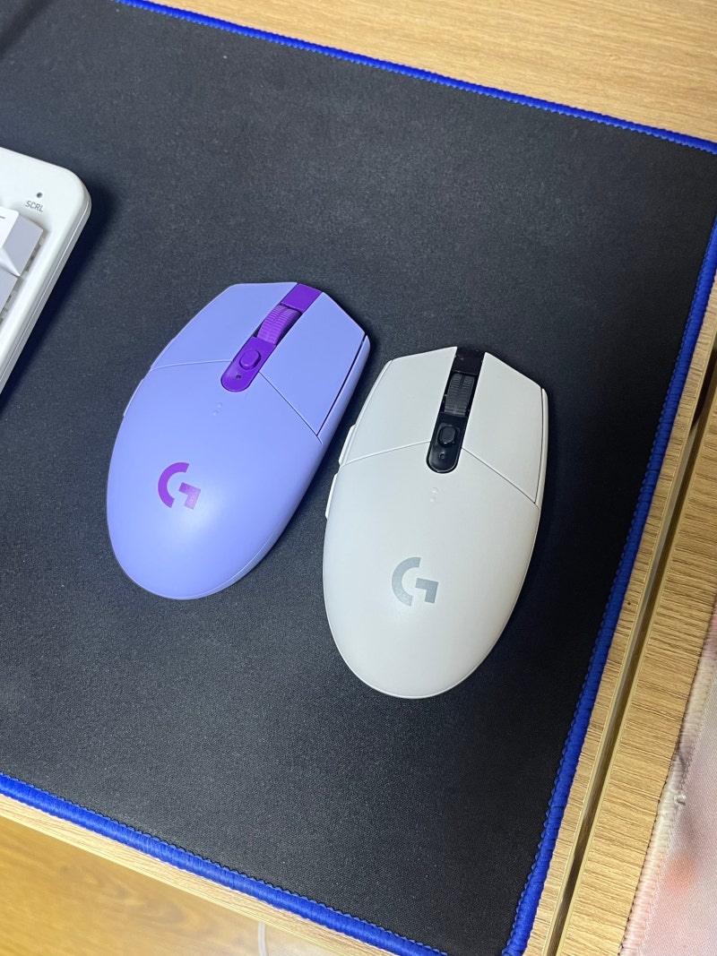 로지텍 G304 마우스 왜 다들 추천할까? 직접 써봤어요