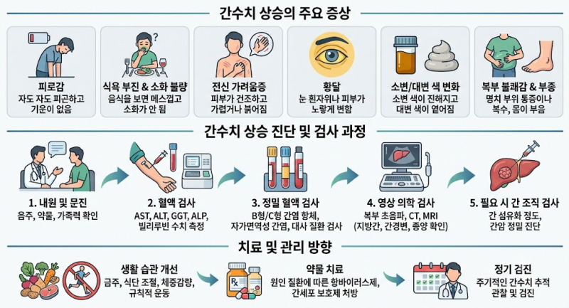 건강검진에서 "간수치가 높다"는 결과를 받으셨나요?