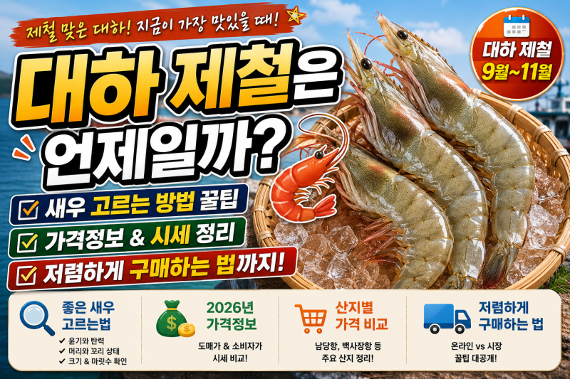 대하 제철은 언제일까? 새우 고르는 방법부터 가격정보·저렴하게 구매하는 법까지!
