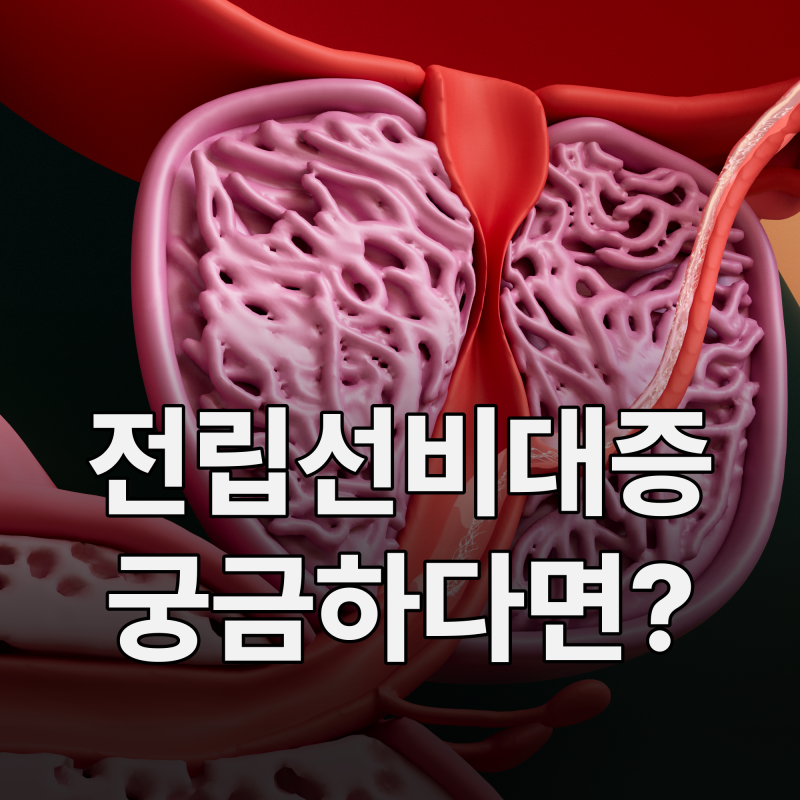 전립선비대증 증상부터 치료방법, 전립선에 좋은음식까지 한번에 정리