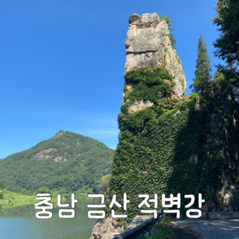 충남 금산 가볼만한곳, 푸른 금강과 붉은 기암절벽이 펼쳐지는 적벽강 드라이브 코스