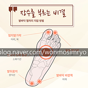 지압슬리퍼 효과와 부작용 완전 정리! 어르신 안전하게 사용하는 법 (feat. 30분 신체·인지 프....