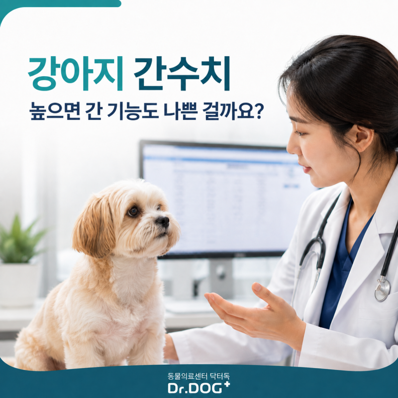 강아지 간수치 원인과 관리, ALT·ALP 및 만성 간염 검사 방법｜고양 닥터독동물병원