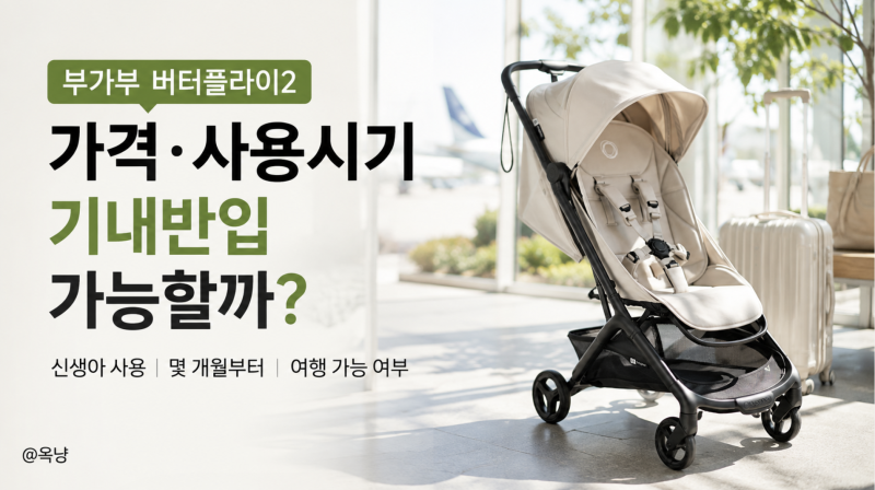 부가부 버터플라이2 가격 사용시기 기내반입 가능할까