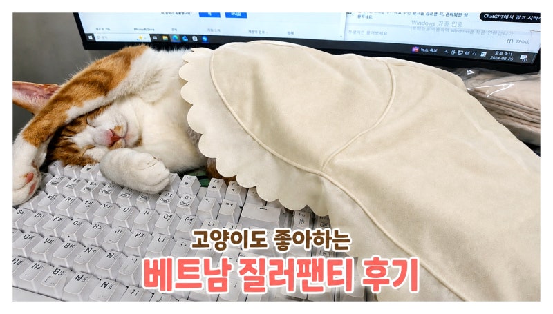 베트남 다낭 나트랑 담시장 여행한다면? 질러팬티 정품 솔직후기