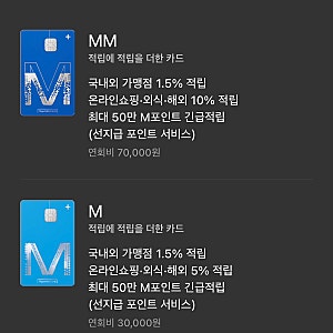 현대카드 M vs MM카드 비교 및 카드혜택 효율구간