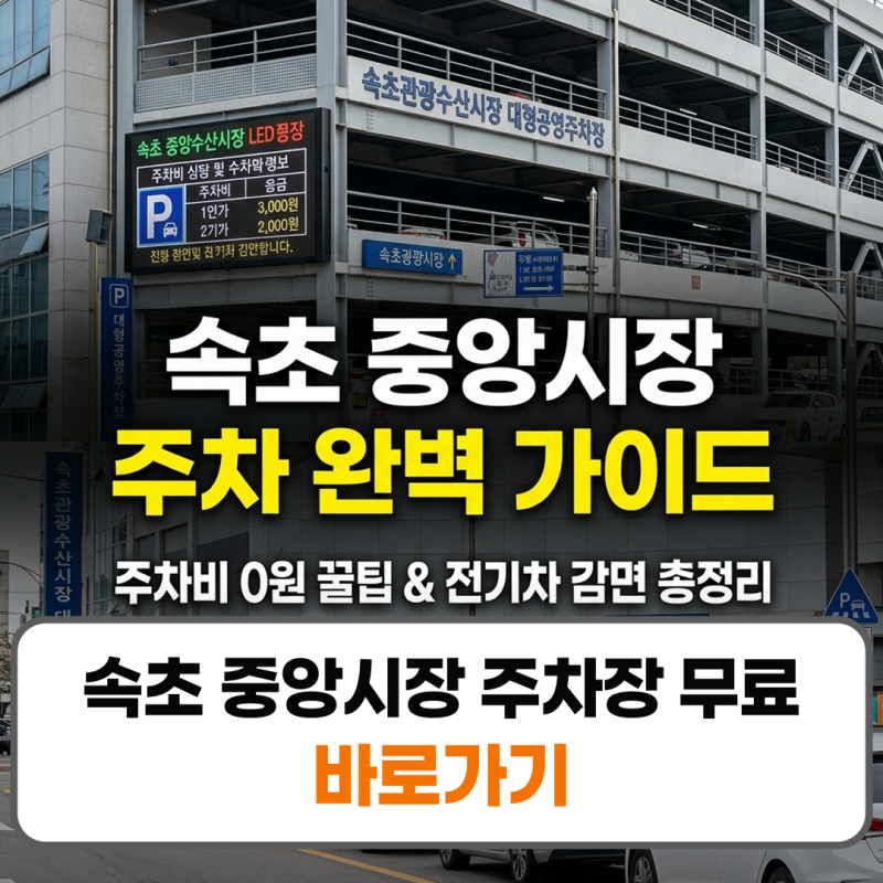 속초 중앙시장 주차장 무료 꿀팁 가격 전기차