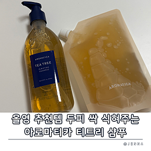 아로마티카 티트리 퓨리파잉 샴푸 - 오후에도 떡지지 않는 지성 두피 올리브영 꿀템 추천