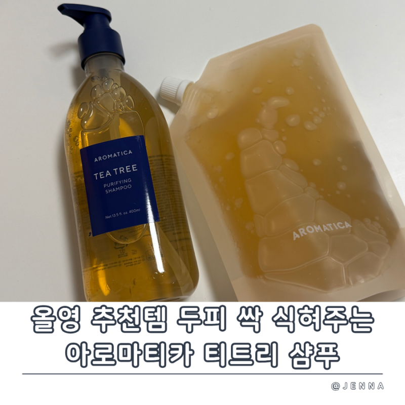 아로마티카 티트리 퓨리파잉 샴푸 - 오후에도 떡지지 않는 지성 두피 올리브영 꿀템 추천