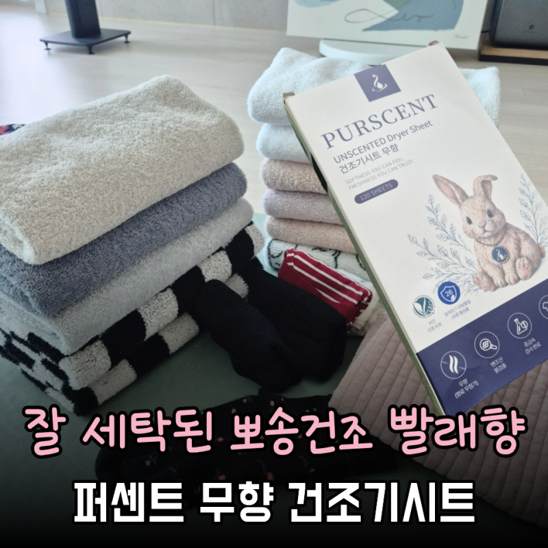 빨래에서 꼭 향이 나야할까..? 퍼센트 무향 건조기시트 사용후기