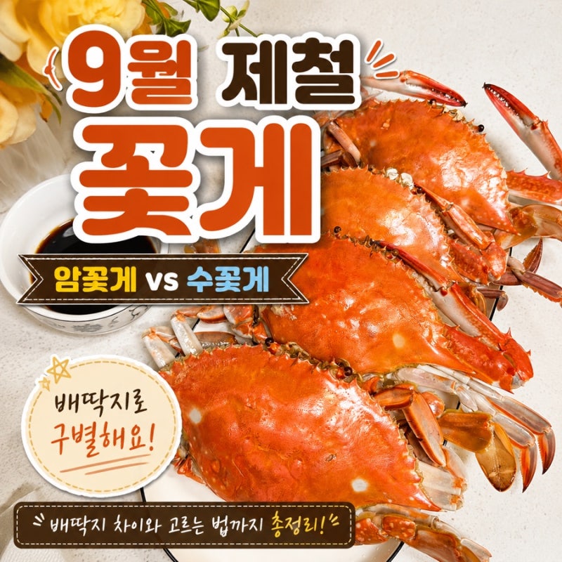 9월 제철 꽃게 암수 구별법암꽃게 수꽃게 배딱지 차이와 고르는 법