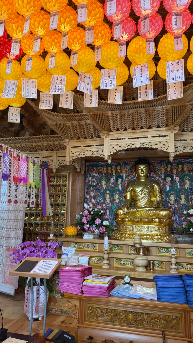Namyangju Myojeoksa Temple Stay: Relaxing Program Review | 2 Days with Cats