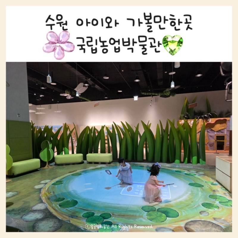 수원 아기와 가볼만한곳 ㅣ 국립농업박물관 (무료) ㅣ 어린이 박물관 추천!!!