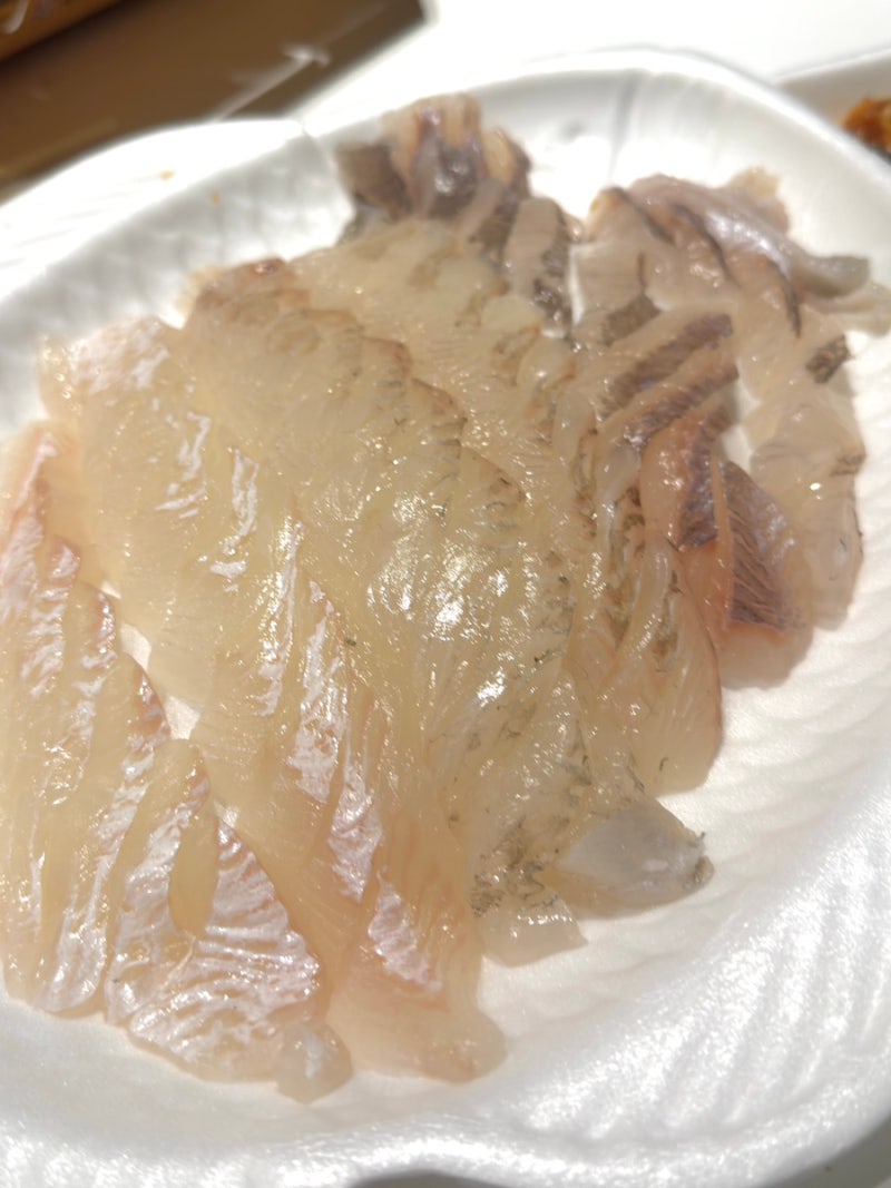 속초 현지인 맛집 속초관광수산시장 횟집 '진미활어센터' 가성비 최고 회포장 찐후기 (영업....