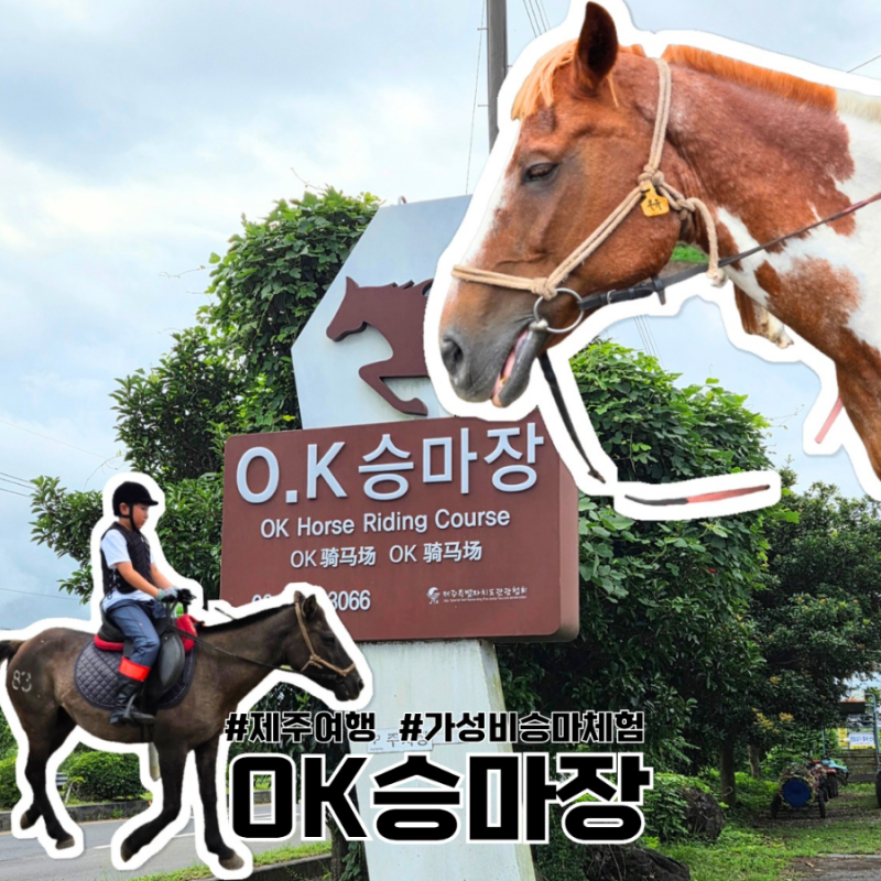 제주여행 관리 잘 된 2인에 3만원도 안하고 사진왕창 찍어주는 가성비 ok승마장에서 말타기 ....
