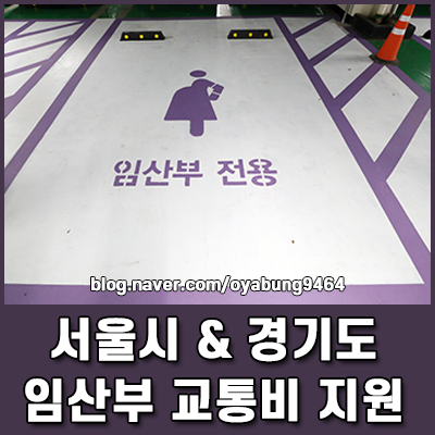 서울시 및 경기도 임산부 교통비 지원 신청 방법과 바우처 사용처