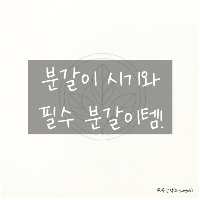 분갈이 시기와 필수 분갈이템