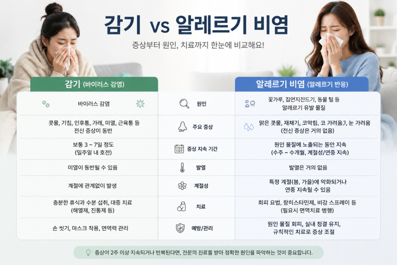 환절기 감기와 비염 차이｜콧물·재채기·목아픔으로 구분하는 법