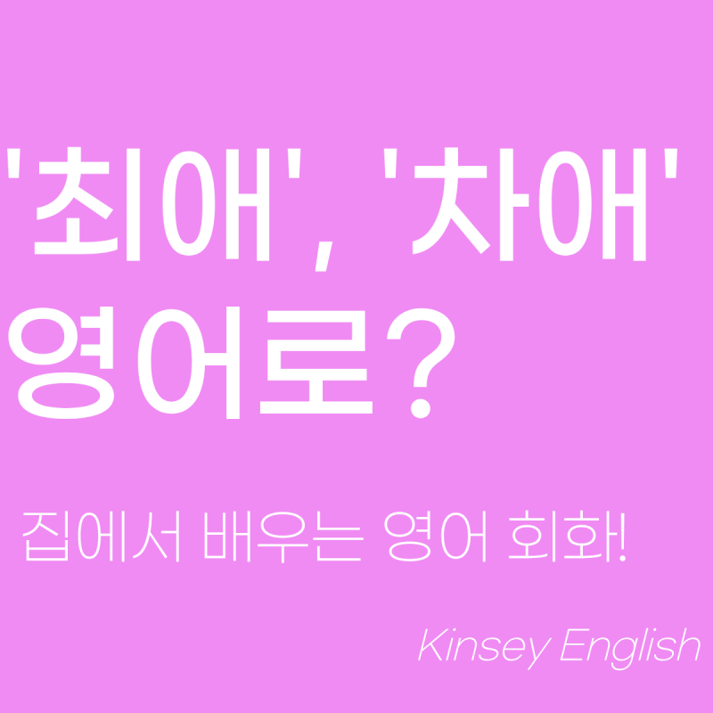 최애 / 차애 영어로? 아일릿 It's me 'Who's your bias? I'm your bias' 뜻 + 다양한 예문