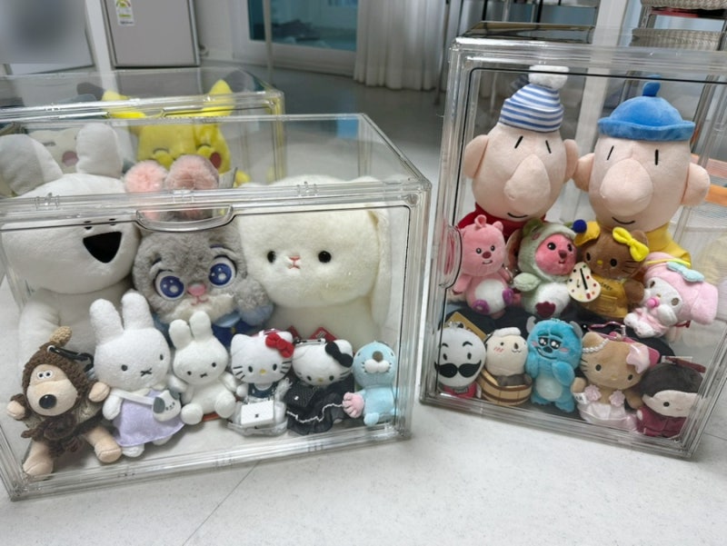 루시아이 아크릴케이스 특대형 인형정리함 후기 내돈내산