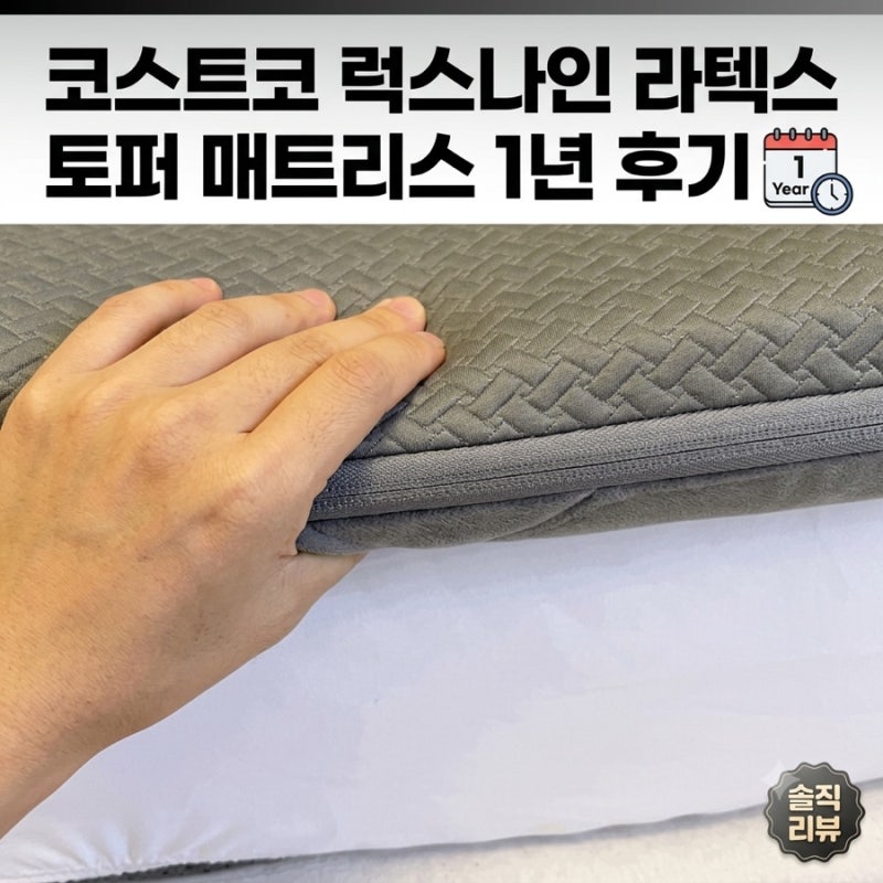 코스트코 럭스나인 라텍스 토퍼 매트리스 가족 토퍼 모두 바꾼 후기