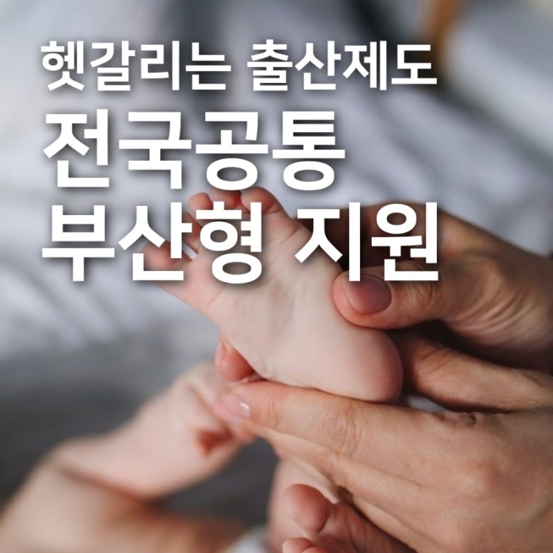 헷갈리는 산모신생아 건강관리지원 vs 부산형 산후조리경비