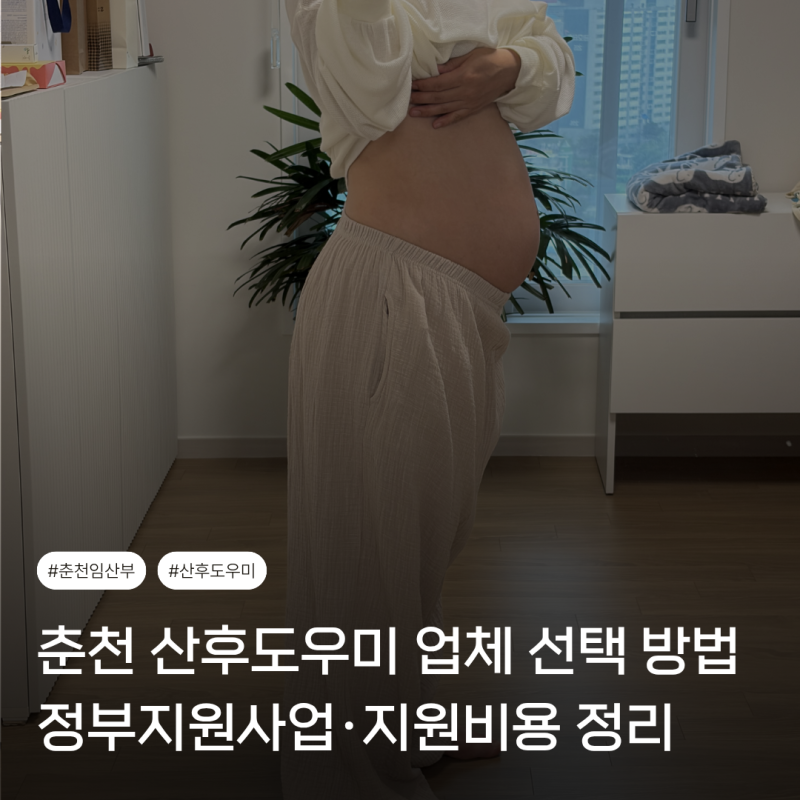 춘천 산후도우미 업체 선택 방법｜정부지원사업·지원비용 정리