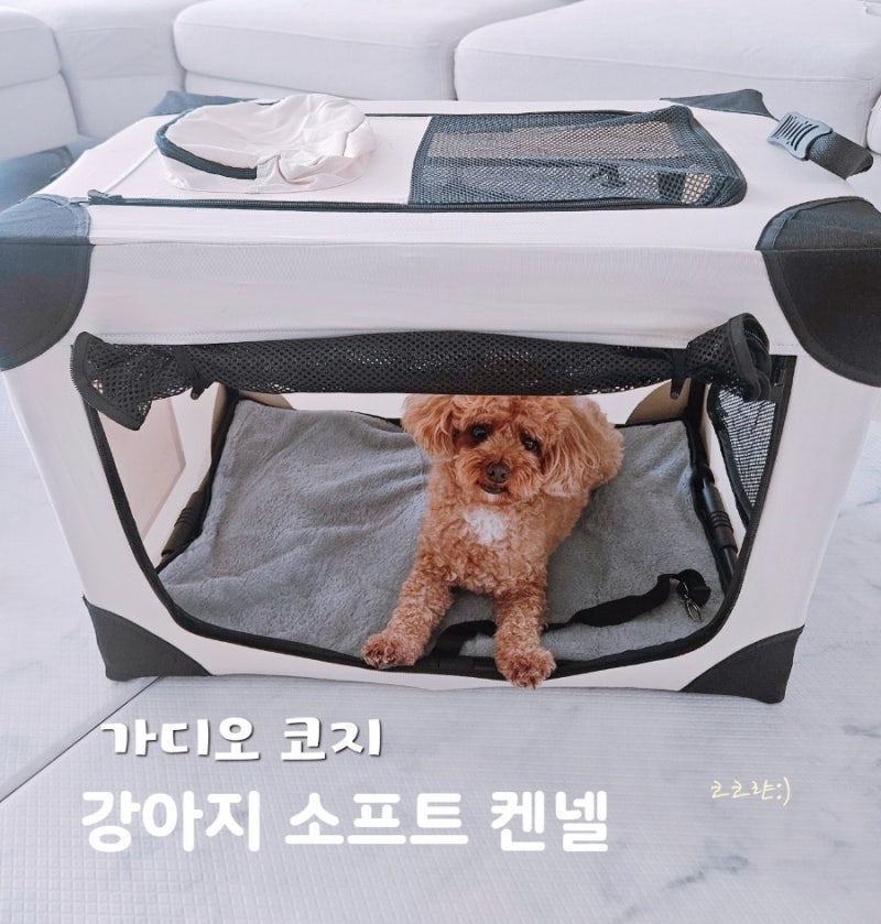 강아지 소프트 켄넬 추천 | 에코노크리에이션 가디오 코지 후기