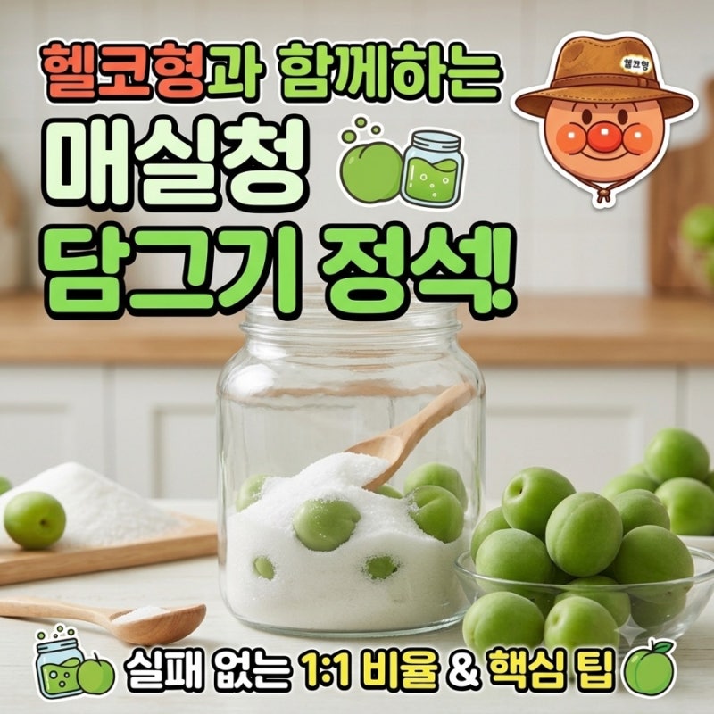 실패 없는 매실청 담그는 법: 1:1 비율부터 곰팡이 방지 꿀팁까지!