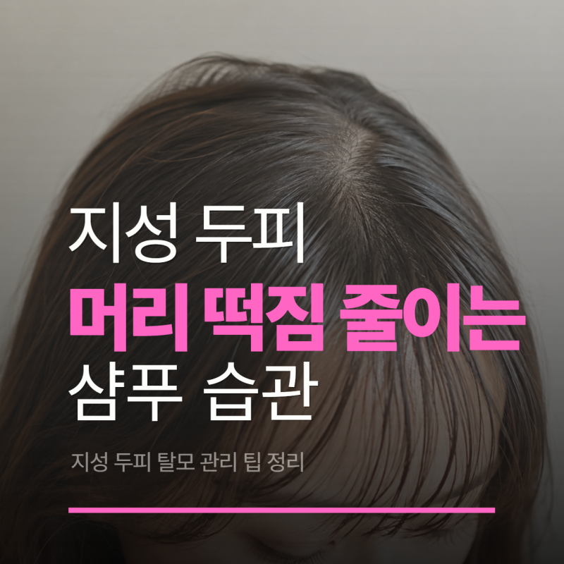 지성 두피 탈모 관리법, 머리 떡짐 줄이는 샴푸 습관까지 정리