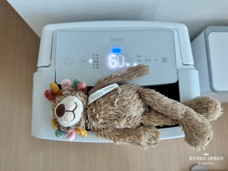 위닉스 뽀송 인버터 제습기 22L, 뒤늦게 작성해보는 만족 후기
