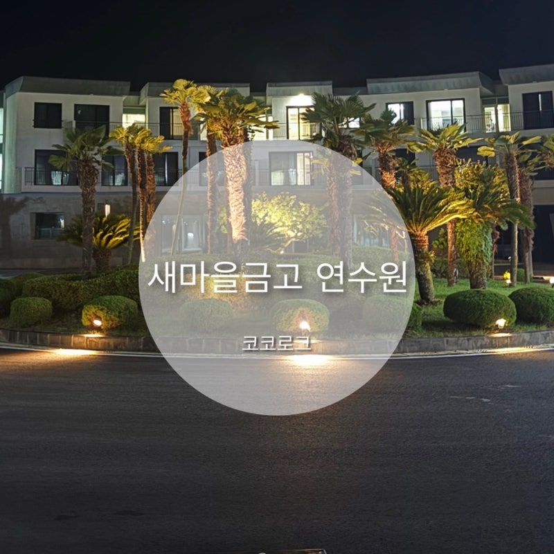 제주 mg새마을금고 연수원 스위트룸 여기 유명해지면 안되는데
