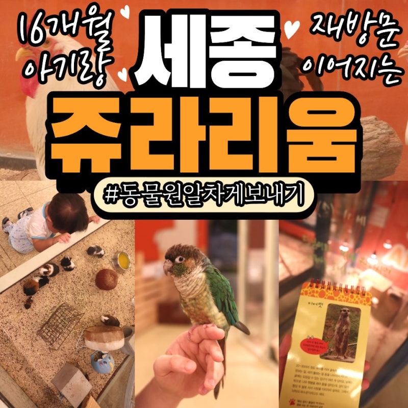 또간집 세종실내동물원 쥬라리움 더욱 알차게 즐기는 방법 16개월 아기 4시간 순삭