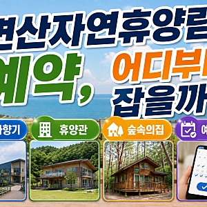 변산자연휴양림 예약, 바다향기·휴양관·숲속의집·예약방법, 어디부터 잡을까
