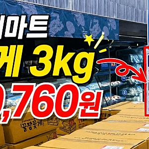 롯데마트 꽃게 가격 톱밥 꽃게 3kg  29,760원 꽃게탕 레시피 꽃게찜