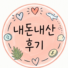 [여행 필수품, 이것만은 놓치지 마세요! 3탄] ✈️단돈 5천원 다이소 메모리폼 목베개 비행기 ....