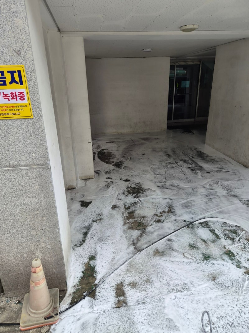 면목동 빌라주차장 고양이오줌냄새 제거 청소 작업